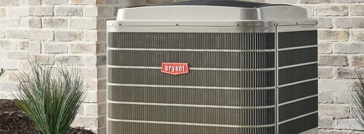 About Bryant